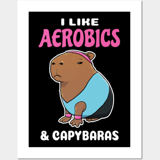 I Like Aerobics and Capybaras Cartoon Posters and Art